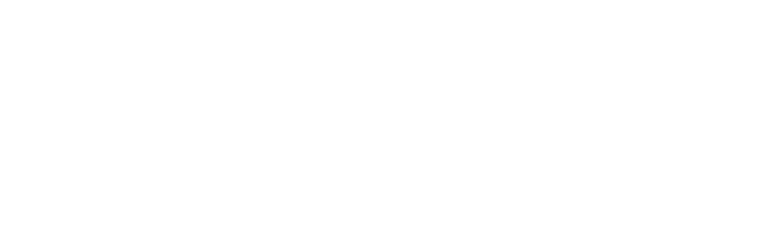 OneStride